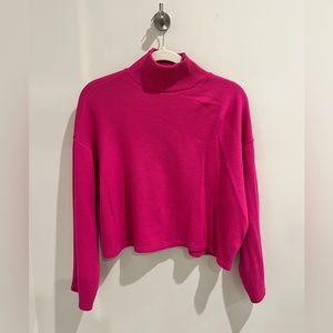 Zara Turtle Neck Sweater